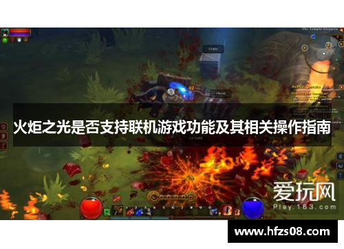 火炬之光是否支持联机游戏功能及其相关操作指南